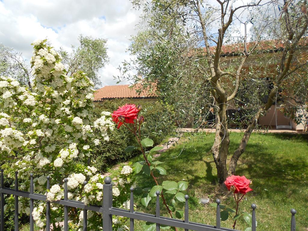 Poggio Degli Olivi Guest House Saturnia Bagian luar foto