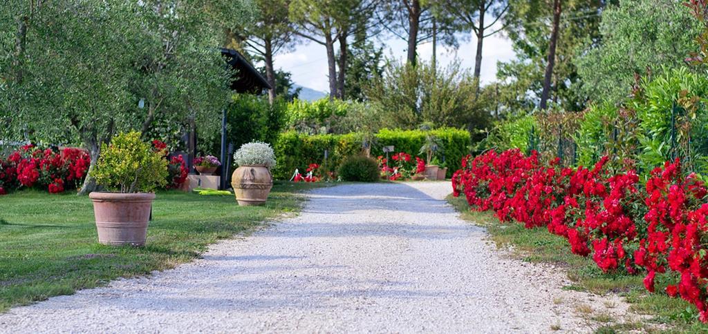 Poggio Degli Olivi Guest House Saturnia Bagian luar foto